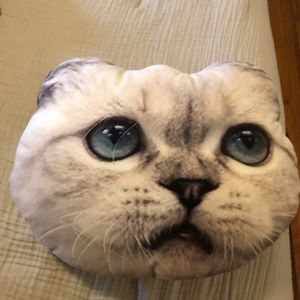 Taylor Swift Pillow - Meredith & Olivia Swift Collection